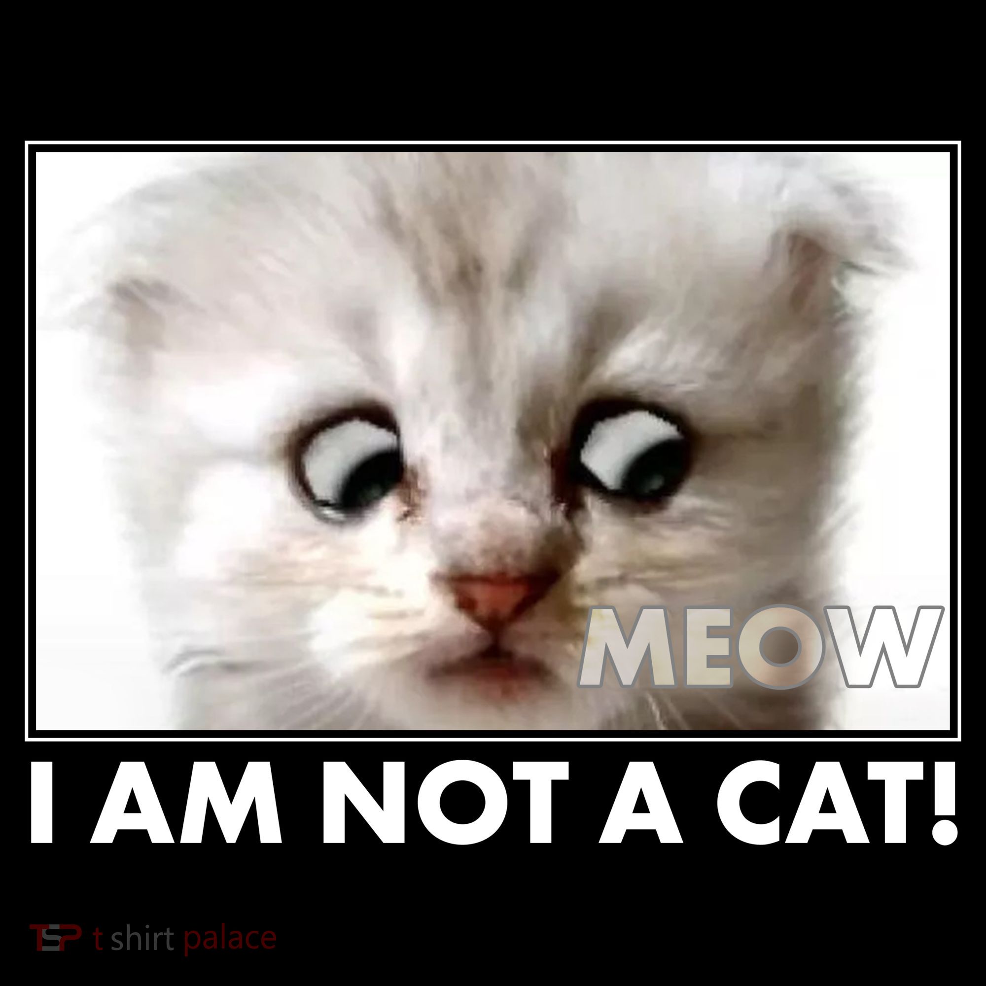 Funny I'm Not A Cat Zoom Lawyer Cat Meme Ornament