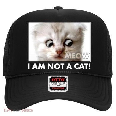 Funny I'm Not A Cat Zoom Lawyer Cat Meme Hat
