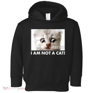 Funny I'm Not A Cat Zoom Lawyer Cat Meme Toddler Hoodie