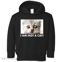 Funny I'm Not A Cat Zoom Lawyer Cat Meme Toddler Hoodie thumb 0