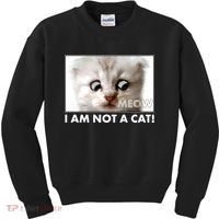 Funny I'm Not A Cat Zoom Lawyer Cat Meme Kids Sweatshirt thumb 0