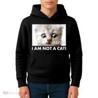 Funny I'm Not A Cat Zoom Lawyer Cat Meme Kids Hoodie thumb 4