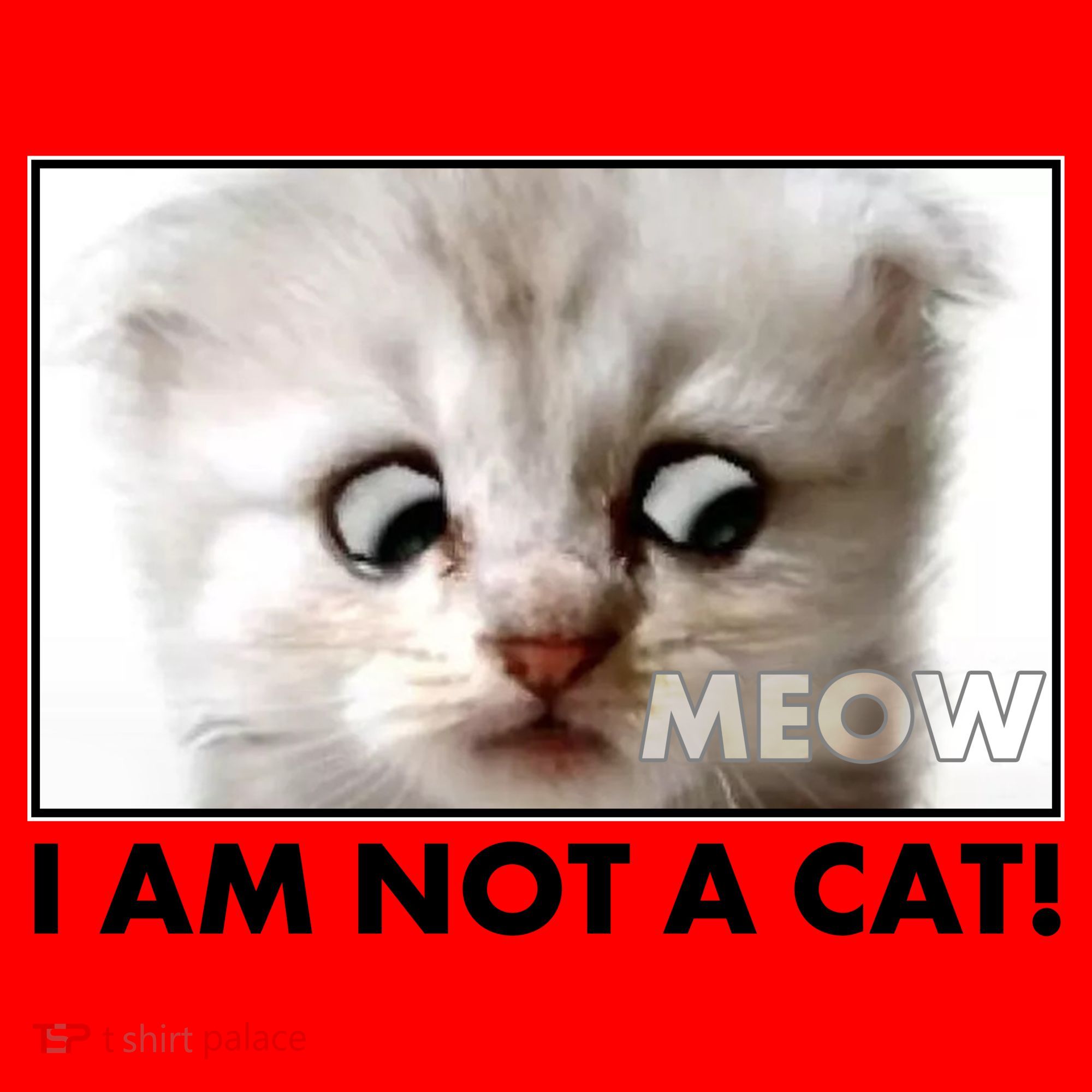 Funny I'm Not A Cat Zoom Lawyer Cat Meme Santa Hat