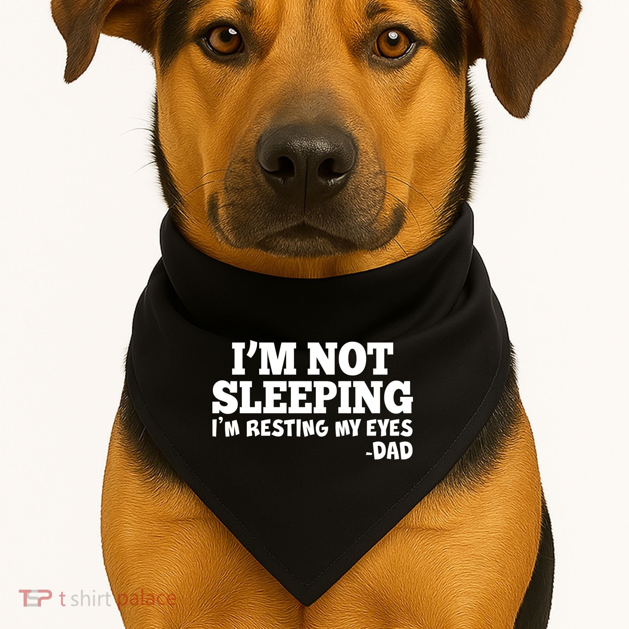 Funny I'm Not Sleeping Dad USA-Made Doggie Bandana