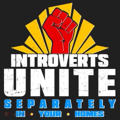 Funny Introverts Unite Separately In Your Homes 24oz Duet Stainless Steel Tumbler