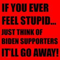 Funny Joe Biden Pro Trump 2024  Santa Hat thumb 1