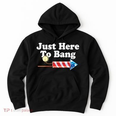 Funny July 4th Just Here To Bang Hoodie