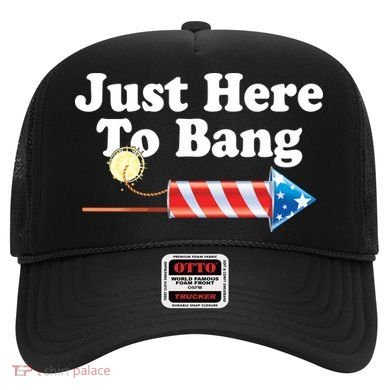 Funny July 4th Just Here To Bang Hat