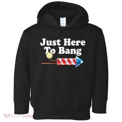 Funny July 4th Just Here To Bang Toddler Hoodie