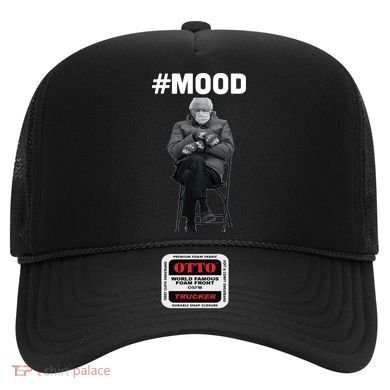 Funny Meme Mittens Bernie Sanders Mood Hat