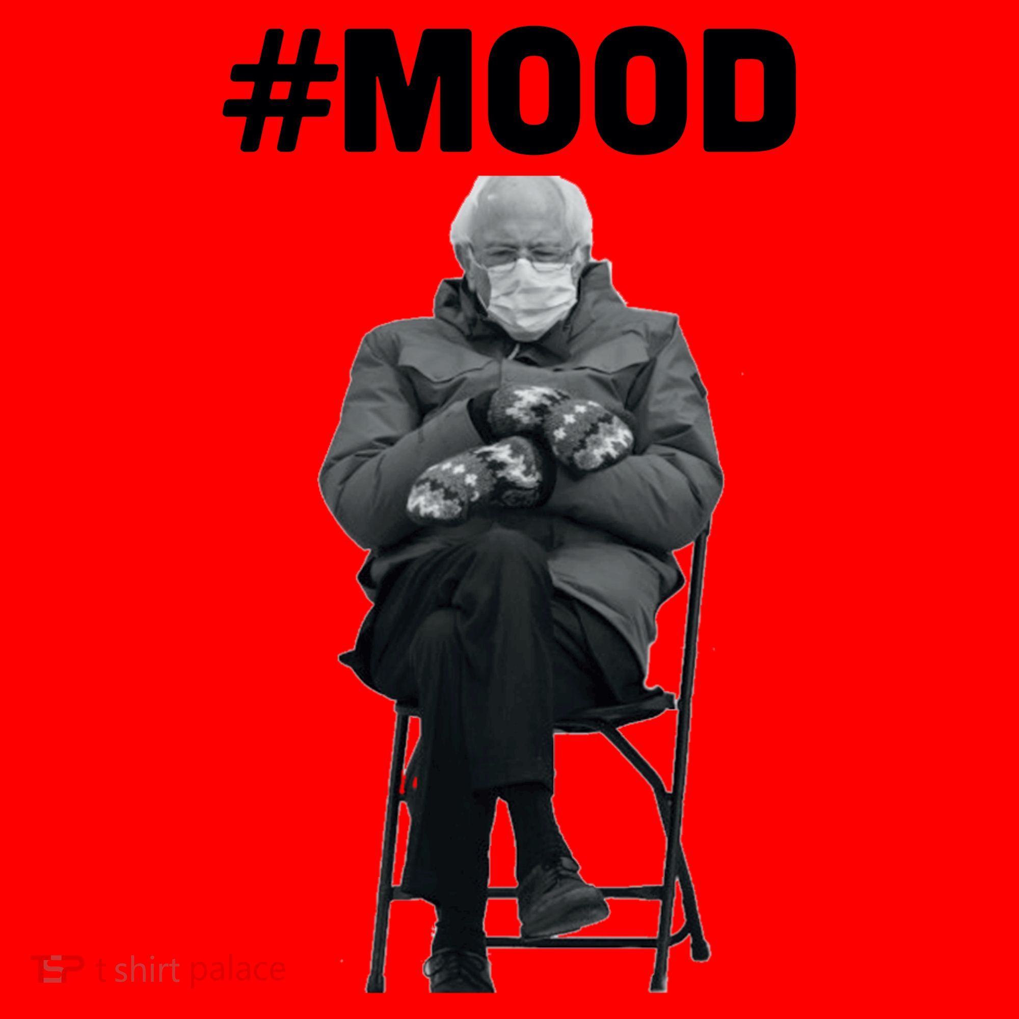 Funny Meme Mittens Bernie Sanders Mood Santa Hat