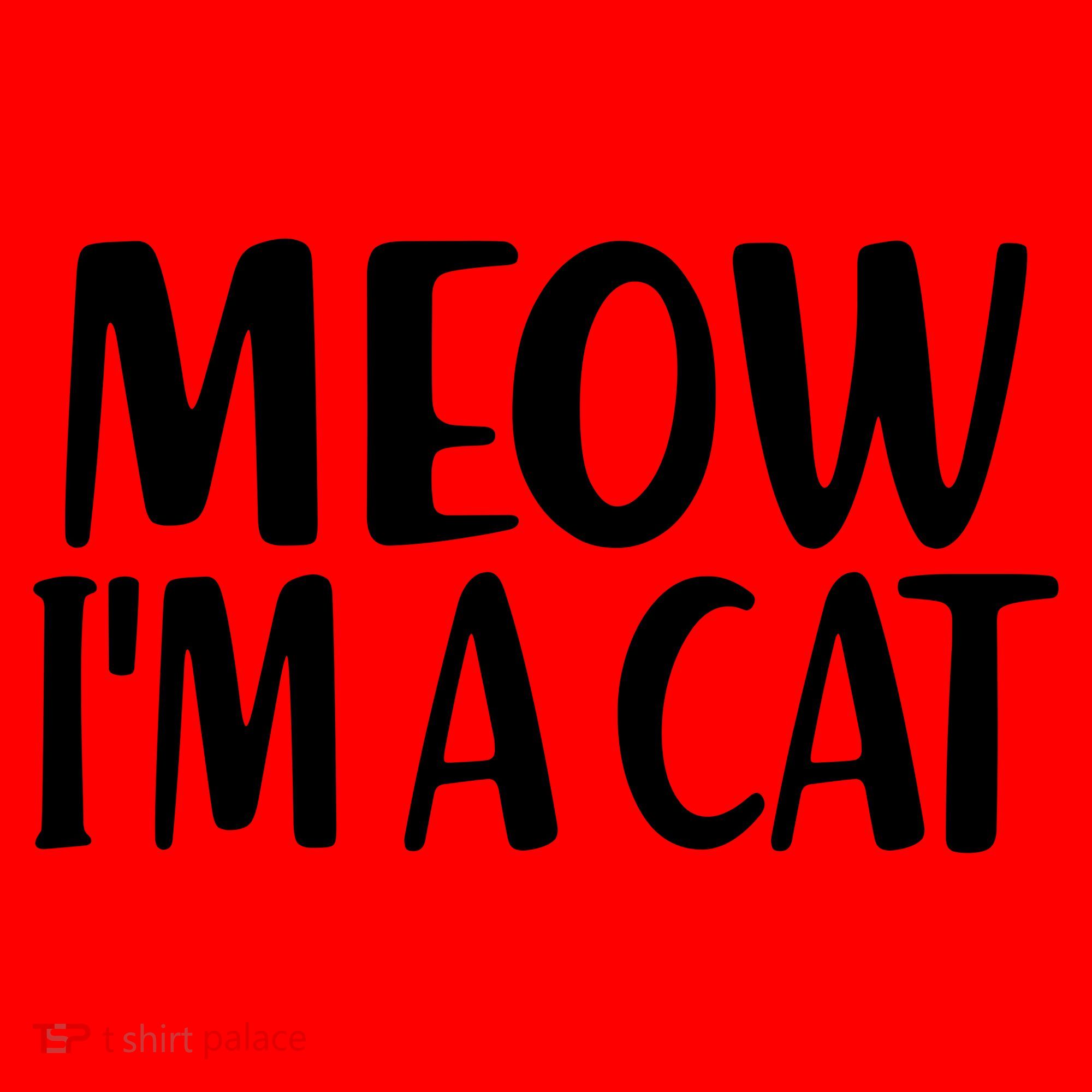 Funny Meow I'm A Cat Lazy Halloween Costume Santa Hat