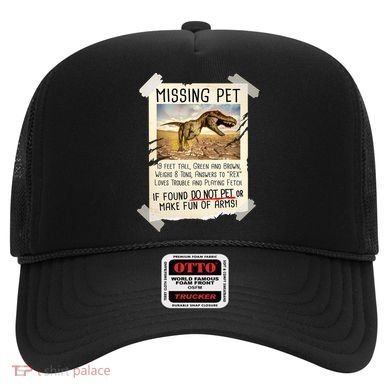 Funny Missing Pet T-Rex Dinosaur Hat