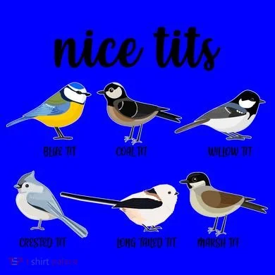 Funny Nice Tits Birds Coffee Mug