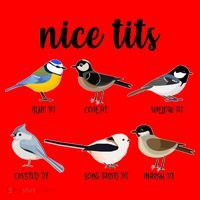 Funny Nice Tits Birds Santa Hat thumb 1