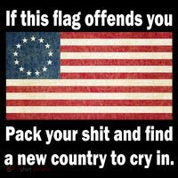 Funny Offensive Betsy Ross Flag Ornament thumb 1