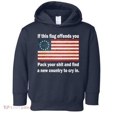 Funny Offensive Betsy Ross Flag Toddler Hoodie