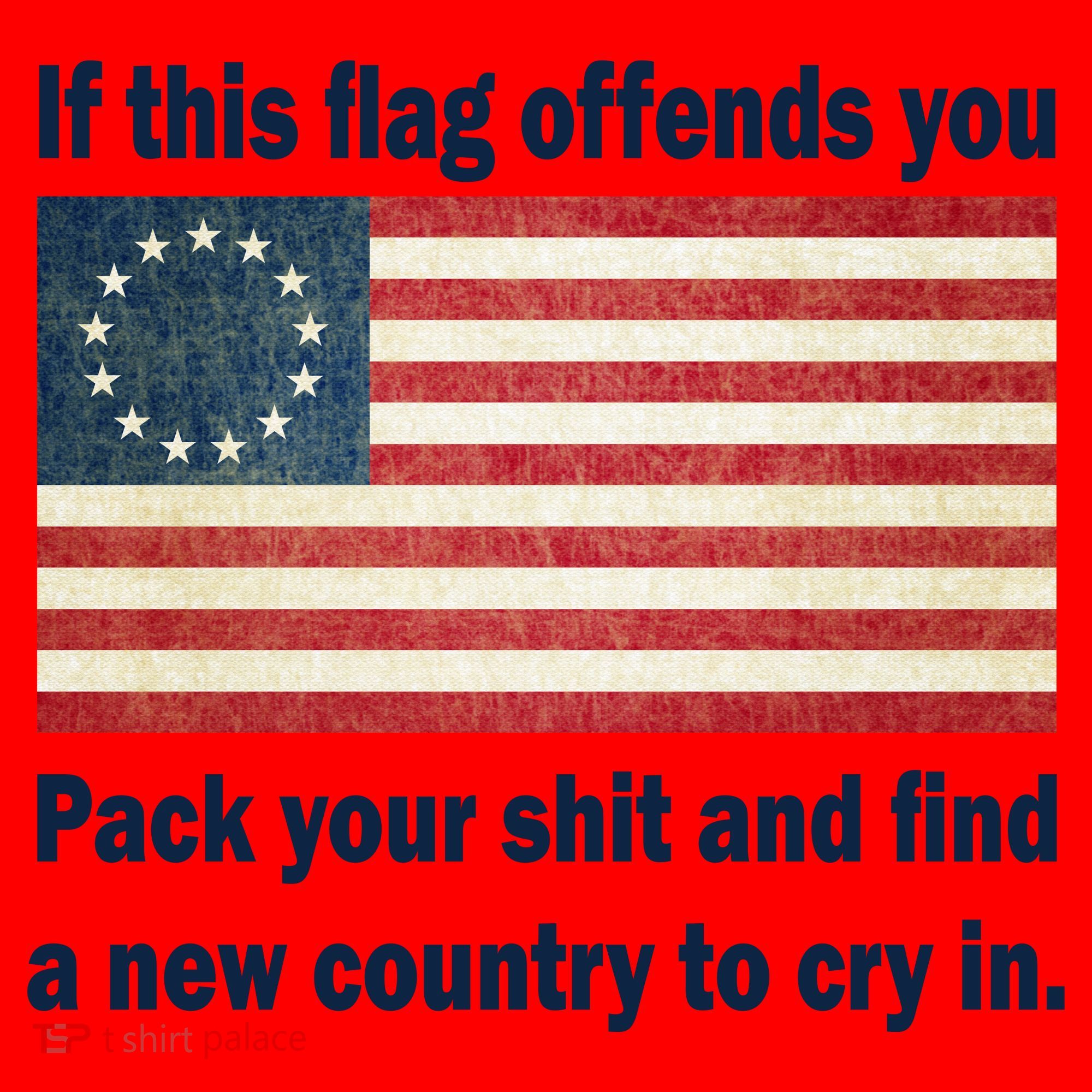 Funny Offensive Betsy Ross Flag Santa Hat