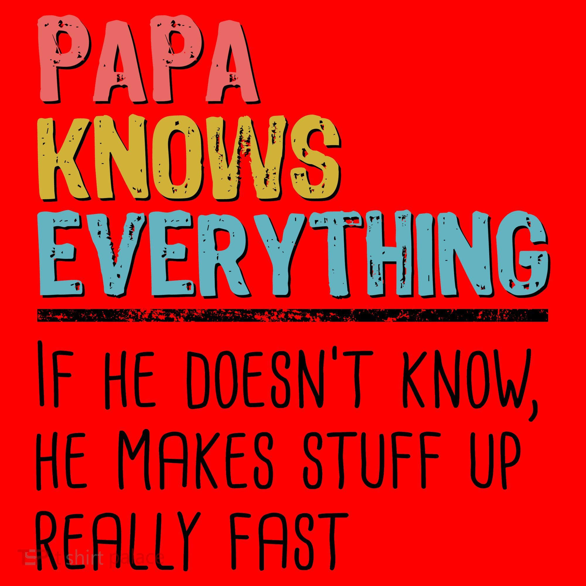 Funny Papa Knows Everything Santa Hat