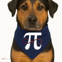 Funny Pi Infinity Numbers 3.14 USA-Made Doggie Bandana thumb 1