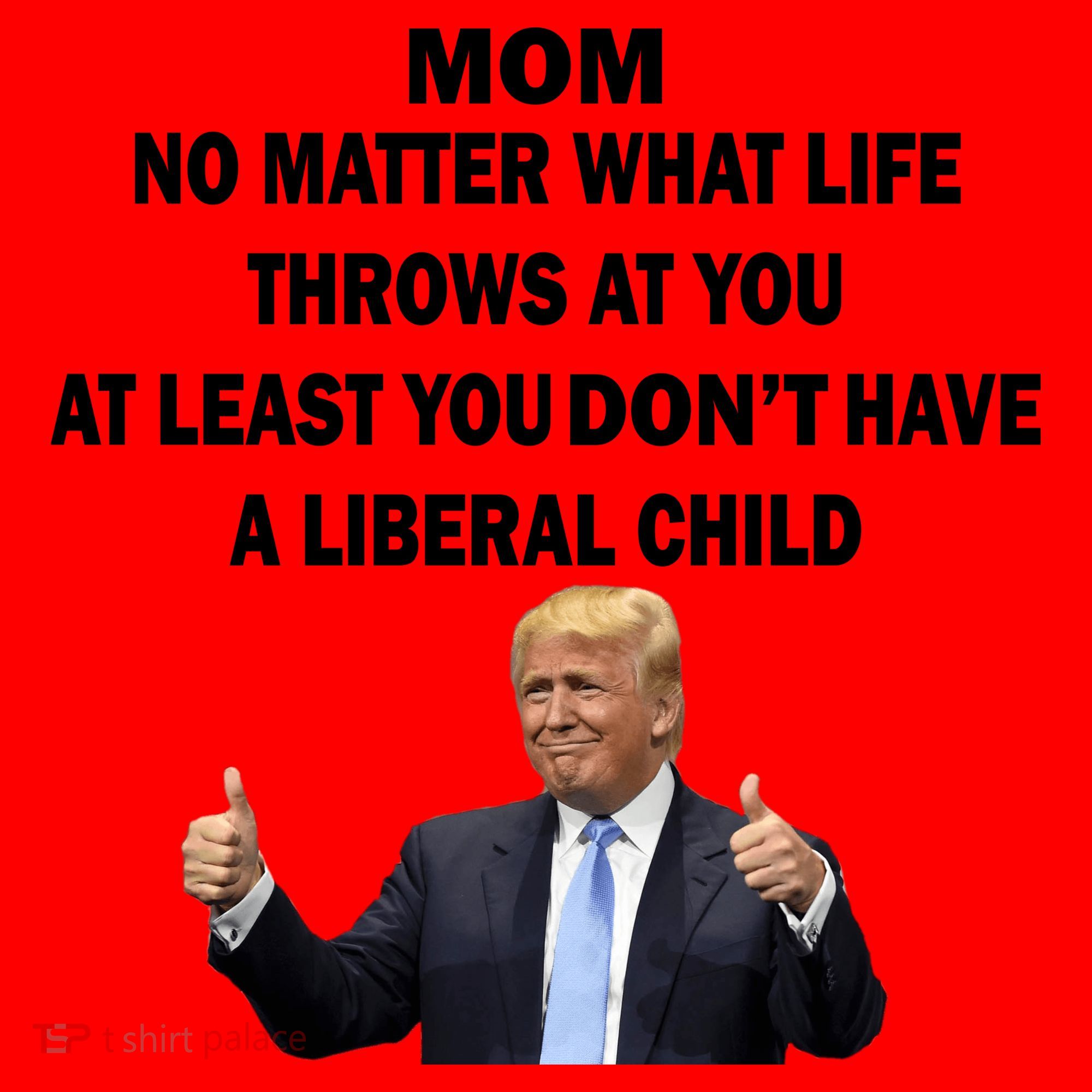 Funny Republican Mom Anti Liberal Child Santa Hat