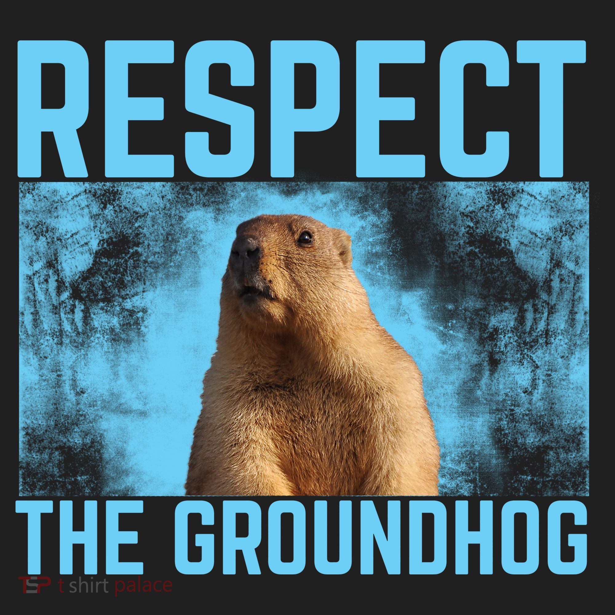 Funny Respect The Groundhog Beanie