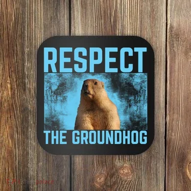 Funny Respect The Groundhog Coaster