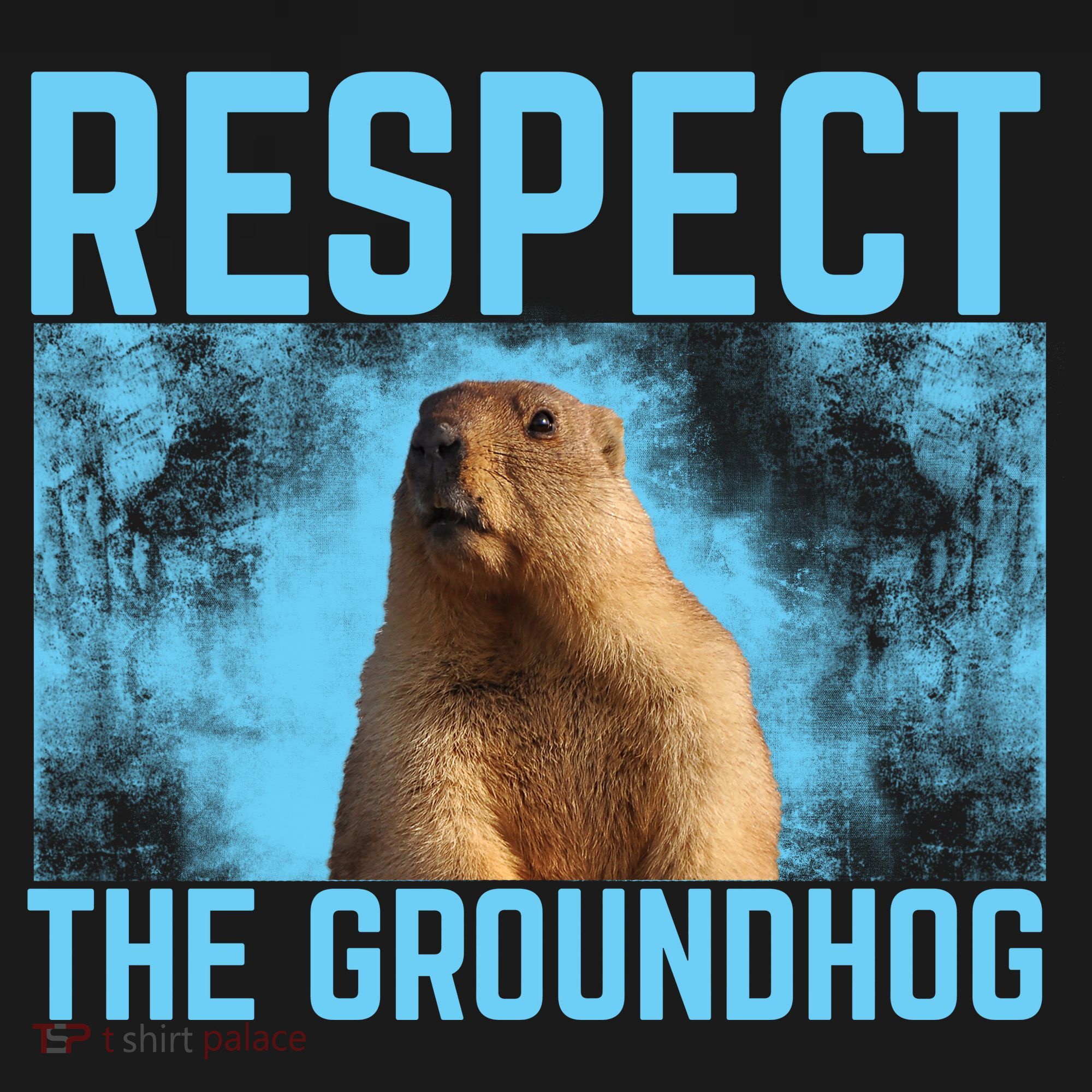Funny Respect The Groundhog Polo