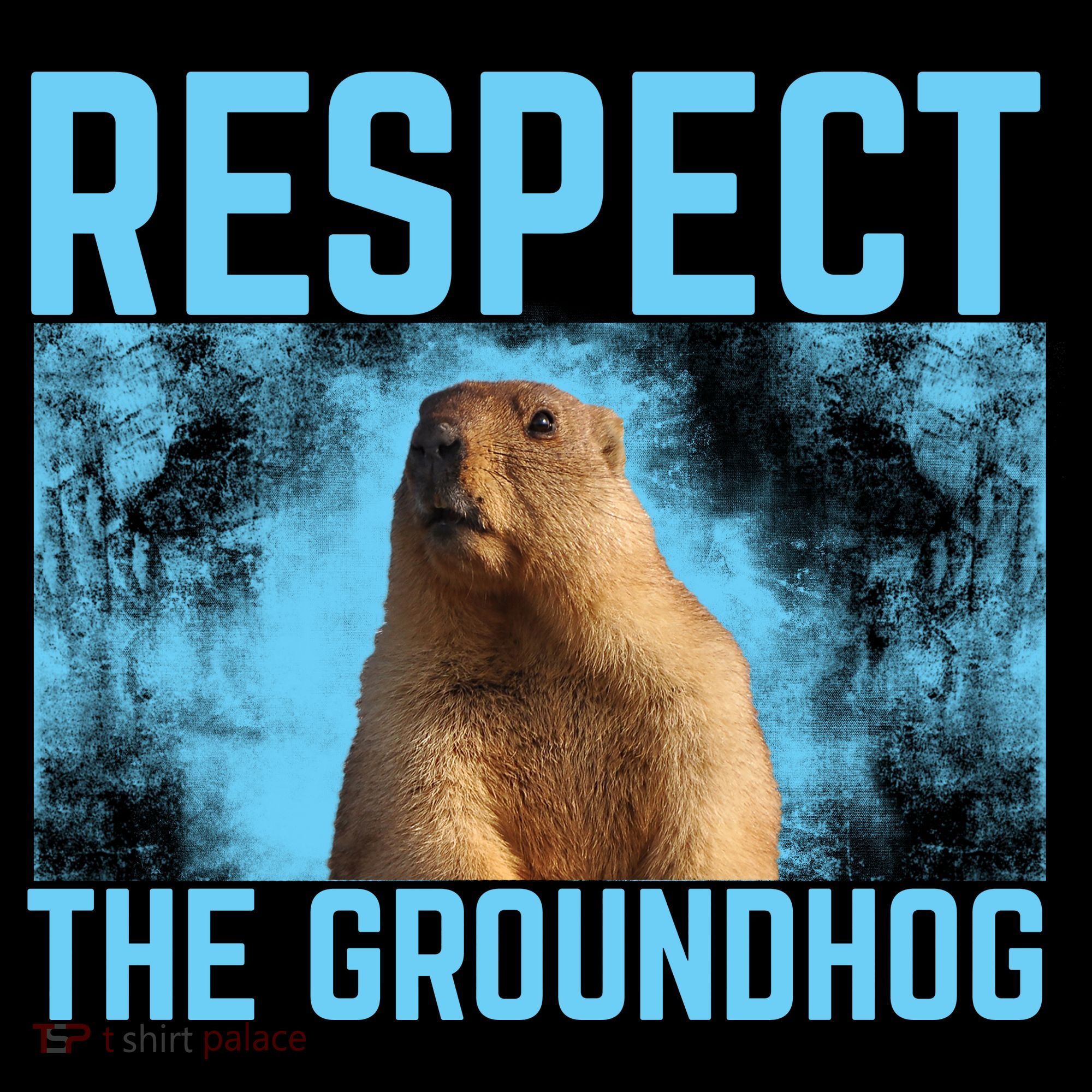 Funny Respect The Groundhog Women's Tank Top