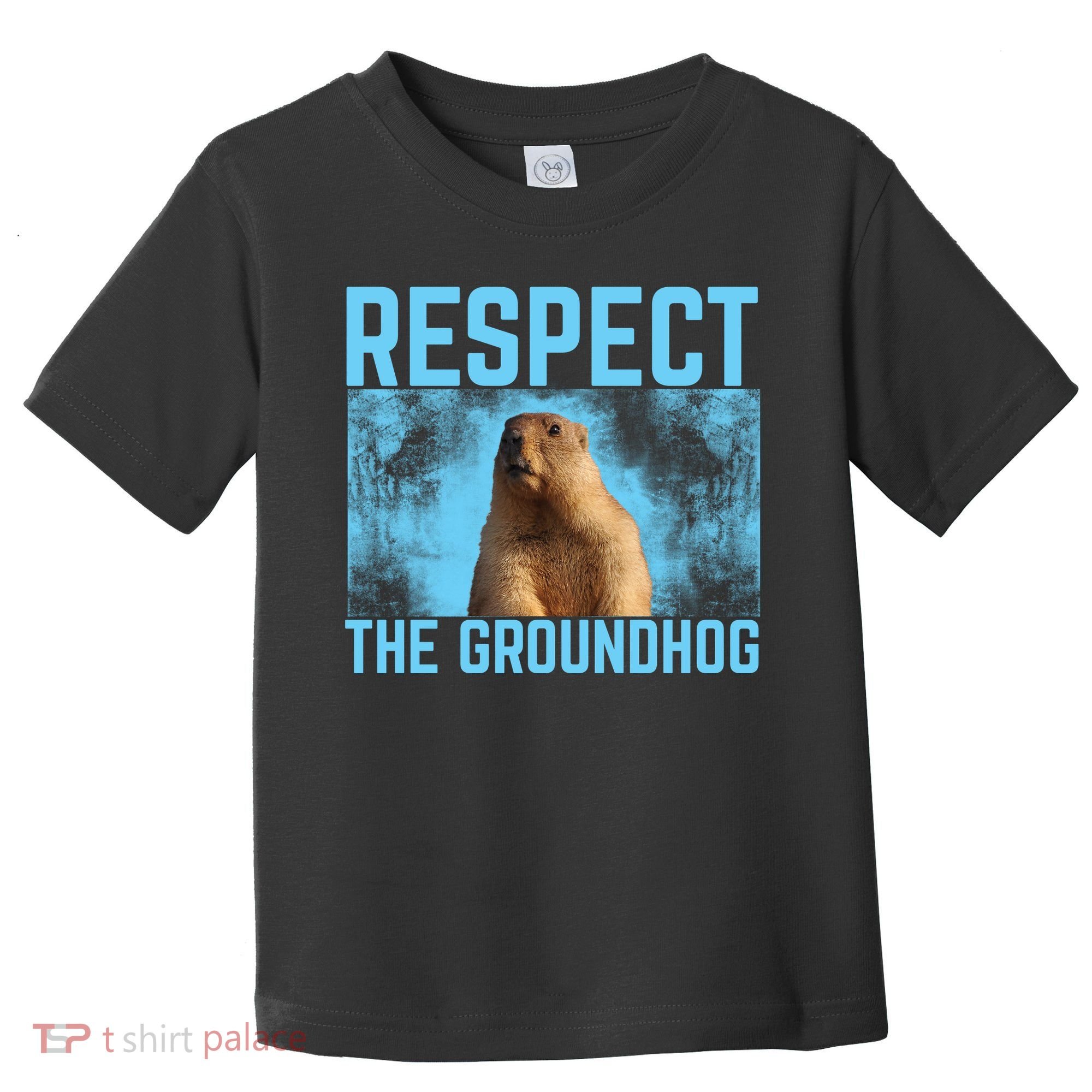 Funny Respect The Groundhog Toddler T-Shirt