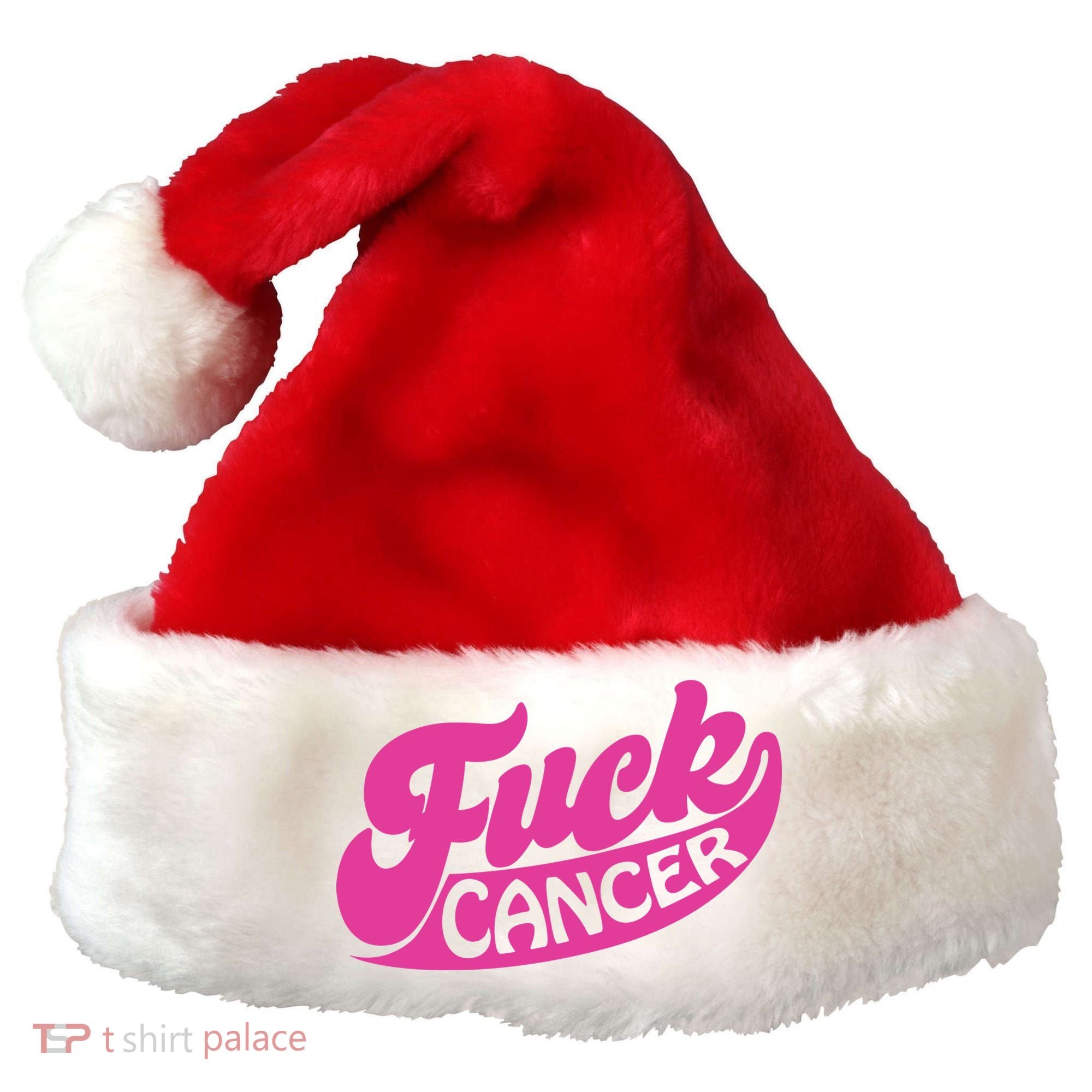 Funny Retro Fck Cancer Logo Breast Cancer Support Santa Hat