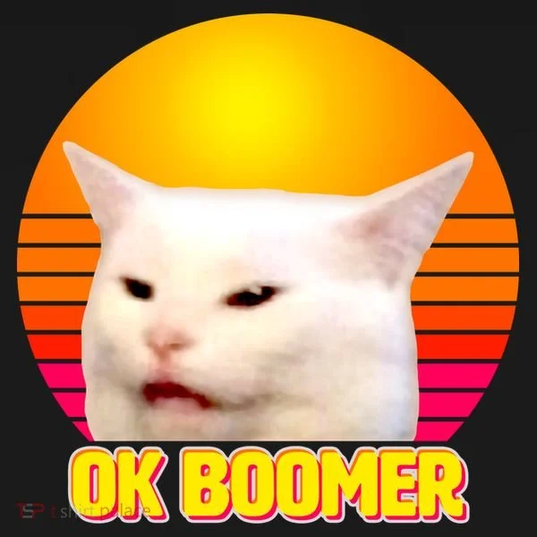 Funny Retro Table Cat OK Boomer Meme Kids Sweatshirt
