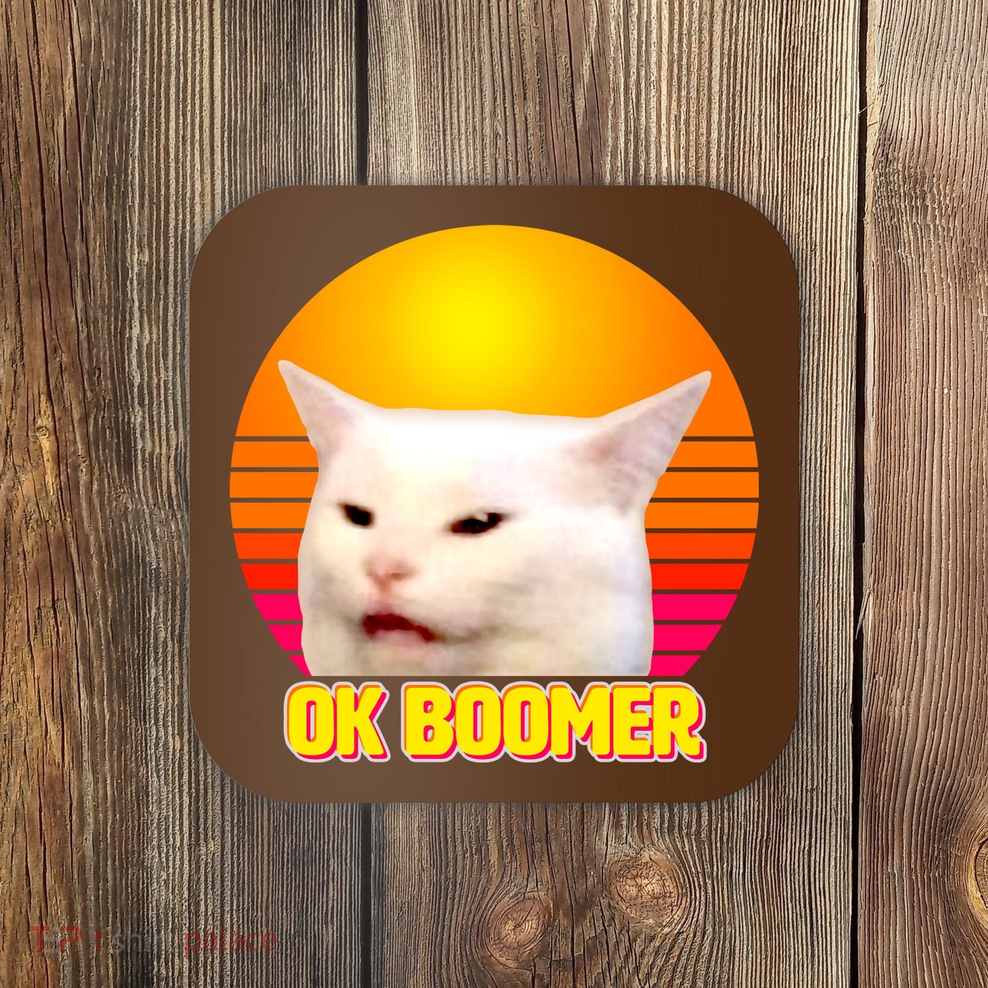 Funny Retro Table Cat OK Boomer Meme Coaster