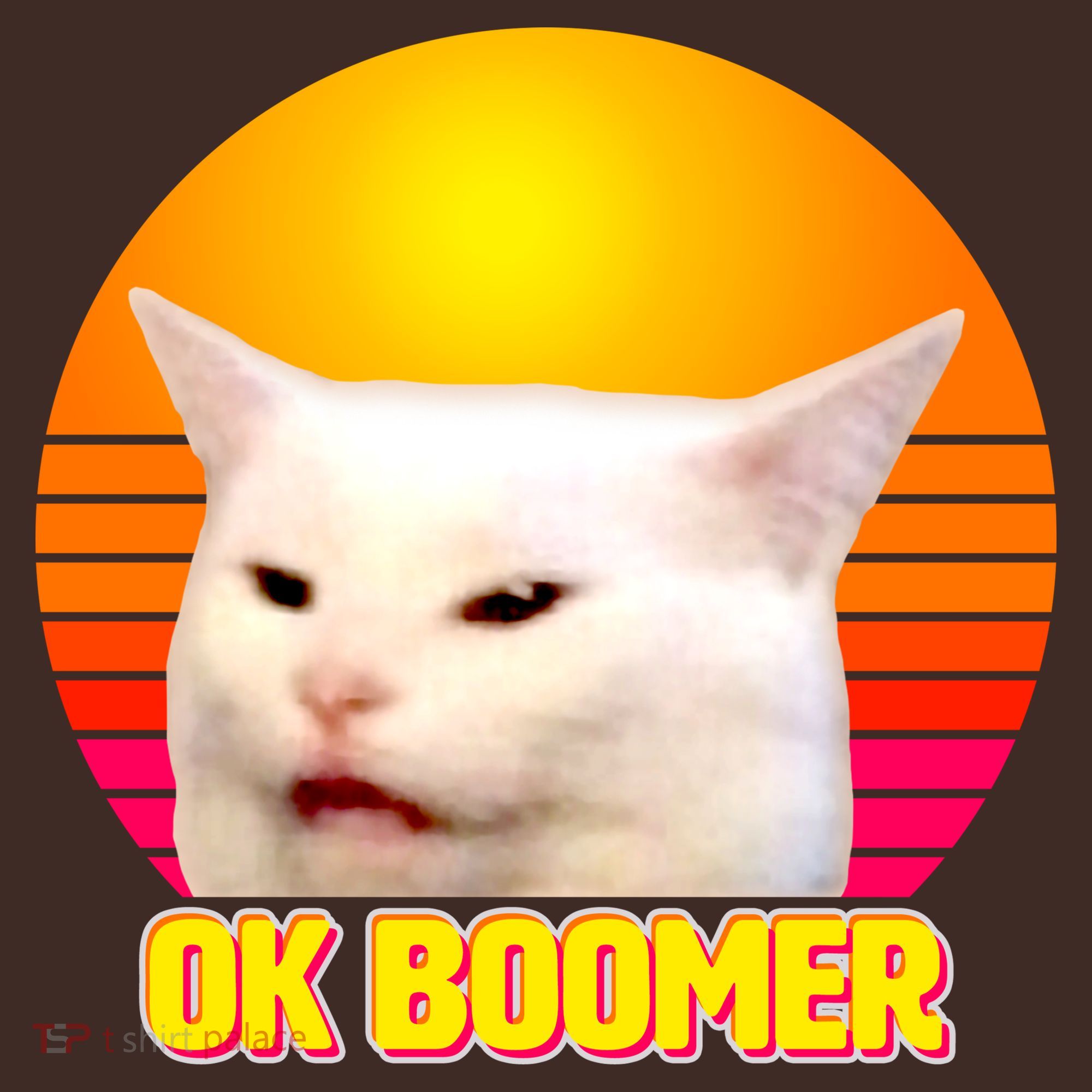 Funny Retro Table Cat OK Boomer Meme Coaster