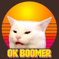 Funny Retro Table Cat OK Boomer Meme Mousepad thumb 1