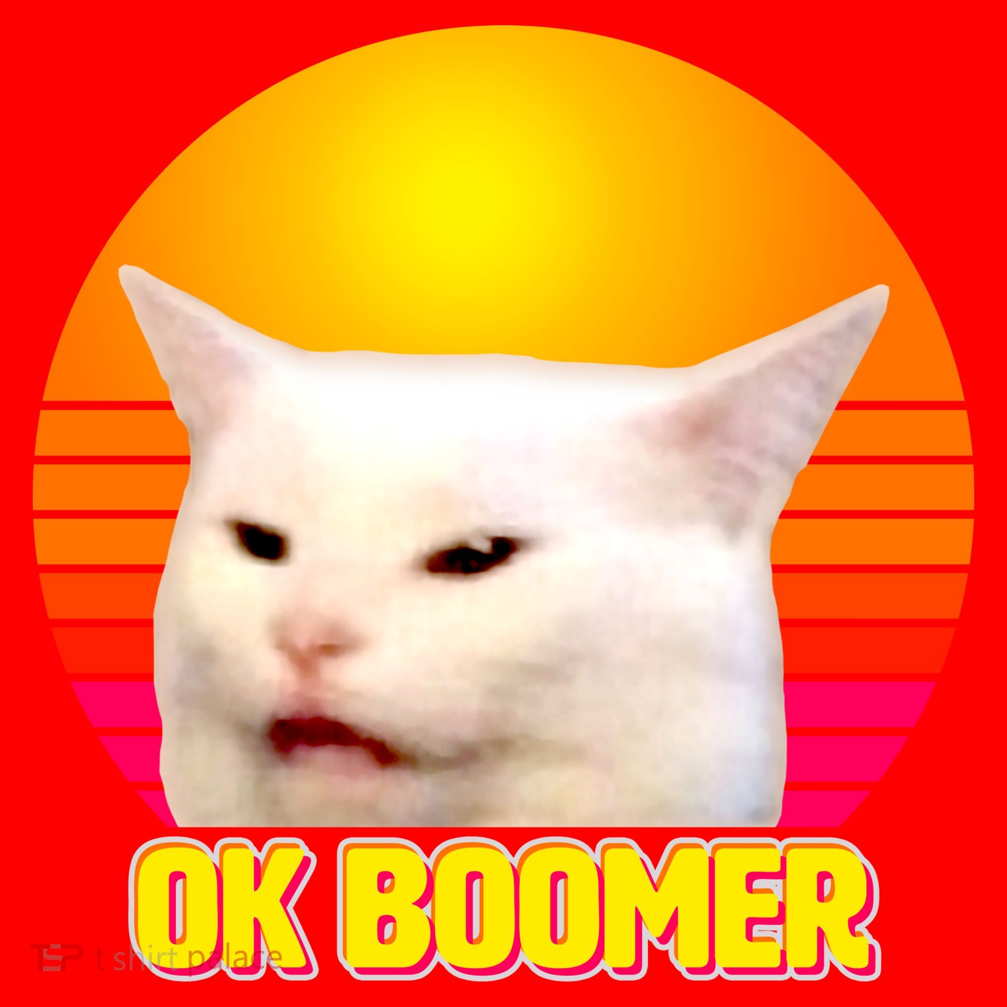 Funny Retro Table Cat OK Boomer Meme Santa Hat