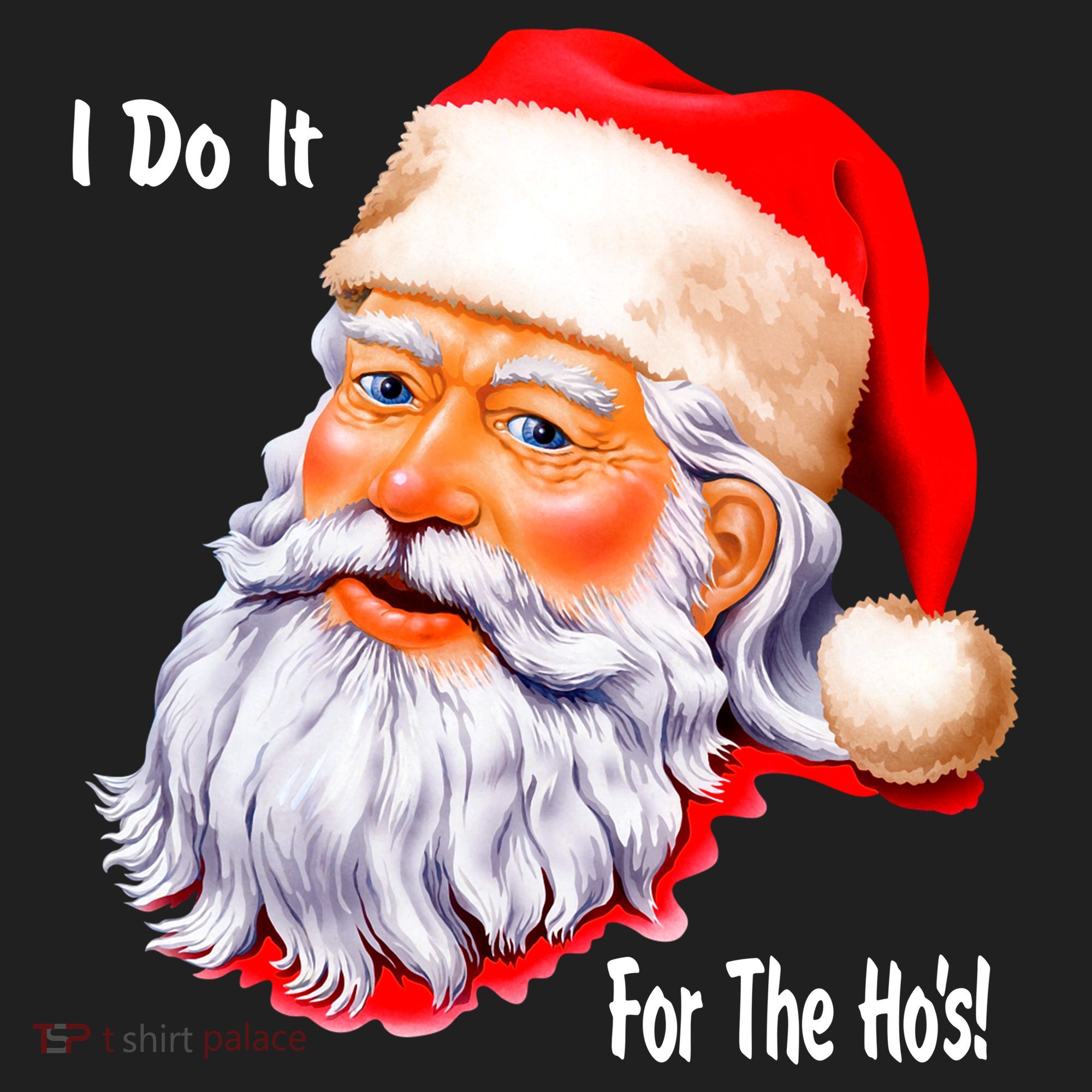 Funny Santa Claus I Do It For The HO'S Christmas Beanie