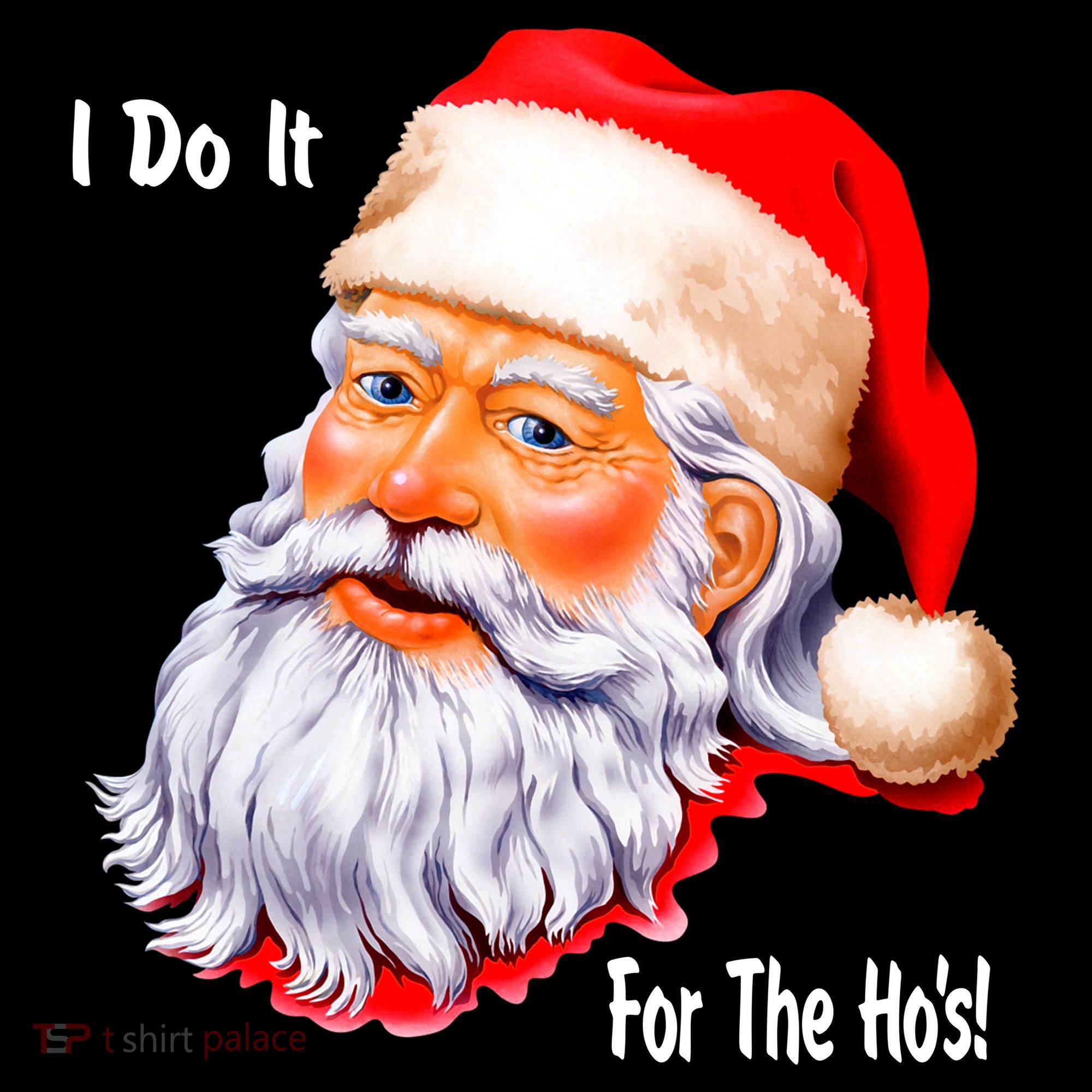 Funny Santa Claus I Do It For The HO'S Christmas Women's Hoodie