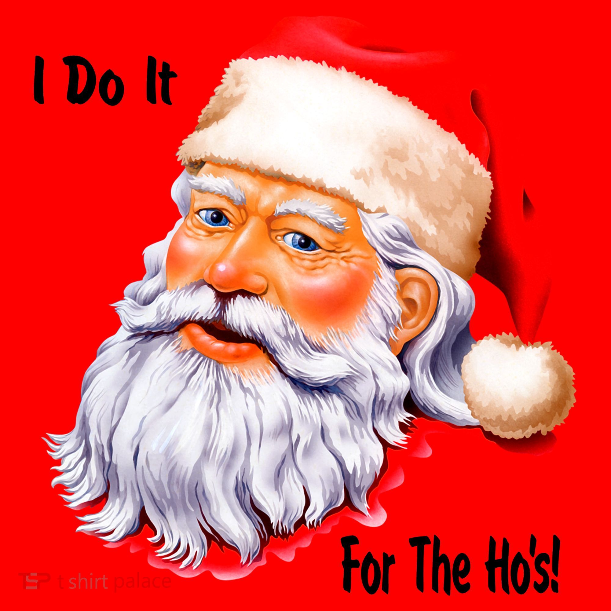 Funny Santa Claus I Do It For The HO'S Christmas Santa Hat