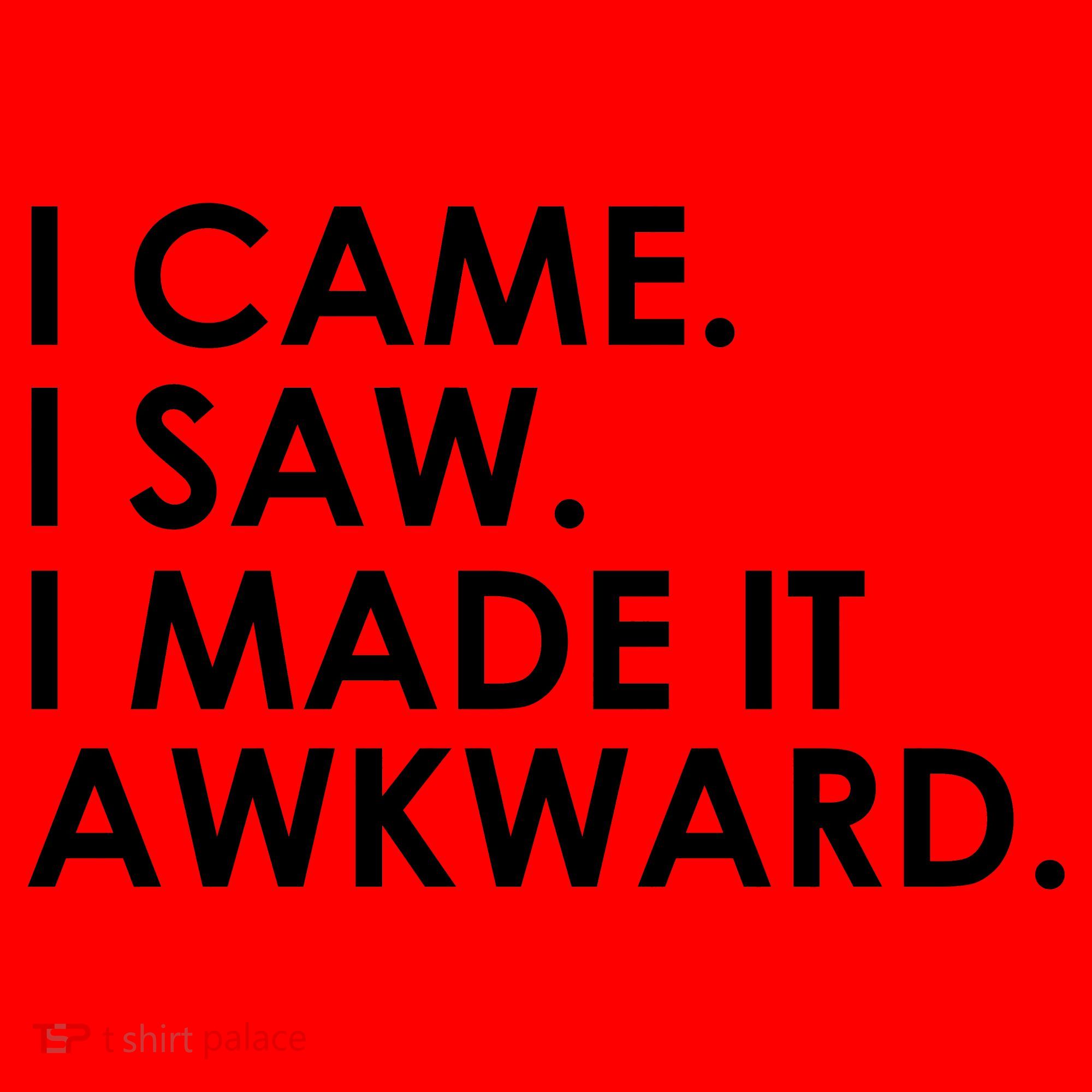 Funny Saying - I Came. I Saw. I Made It Awkward. Santa Hat