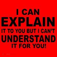 Funny Sayings I Can Explain It But I Can't Understand It For You Santa Hat thumb 1