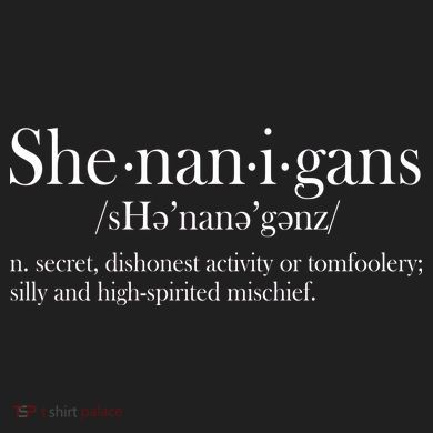 Funny Shenanigans Definition Urban Oversized Heavyweight T-Shirt