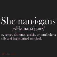 Funny Shenanigans Definition Tumbler thumb 3