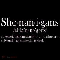 Funny Shenanigans Definition Women's Tank Top thumb 5