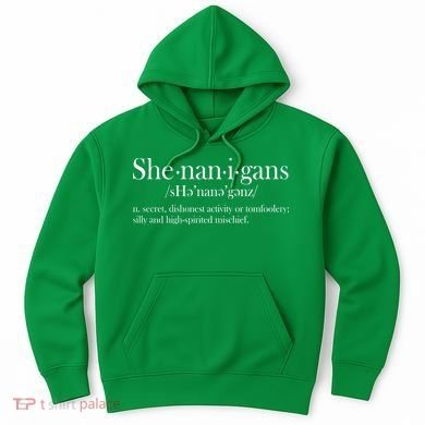 Funny Shenanigans Definition Hoodie