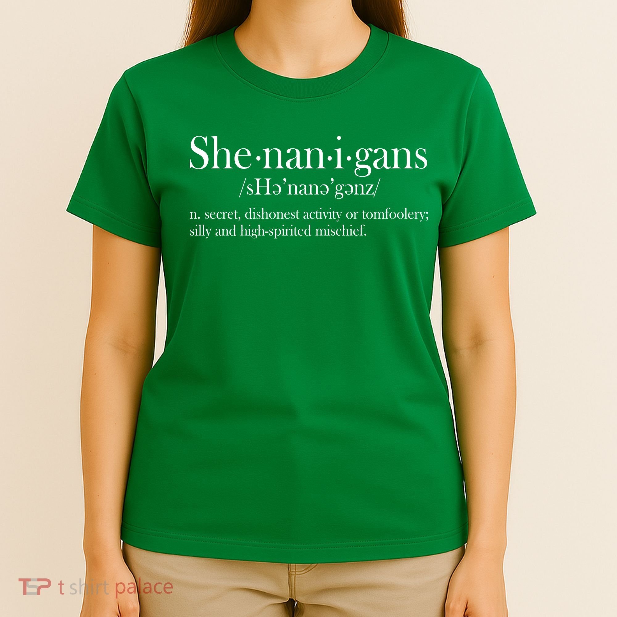Funny Shenanigans Definition T-Shirt