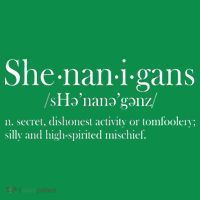 Funny Shenanigans Definition Kids T-Shirt thumb 4