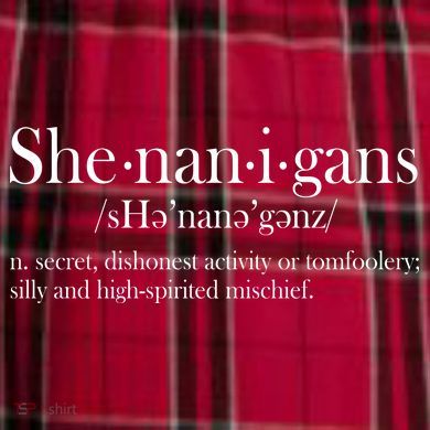 Funny Shenanigans Definition Women's Flannel Plaid Pajama Pants