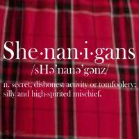 Funny Shenanigans Definition Women's Flannel Plaid Pajama Pants thumb 2