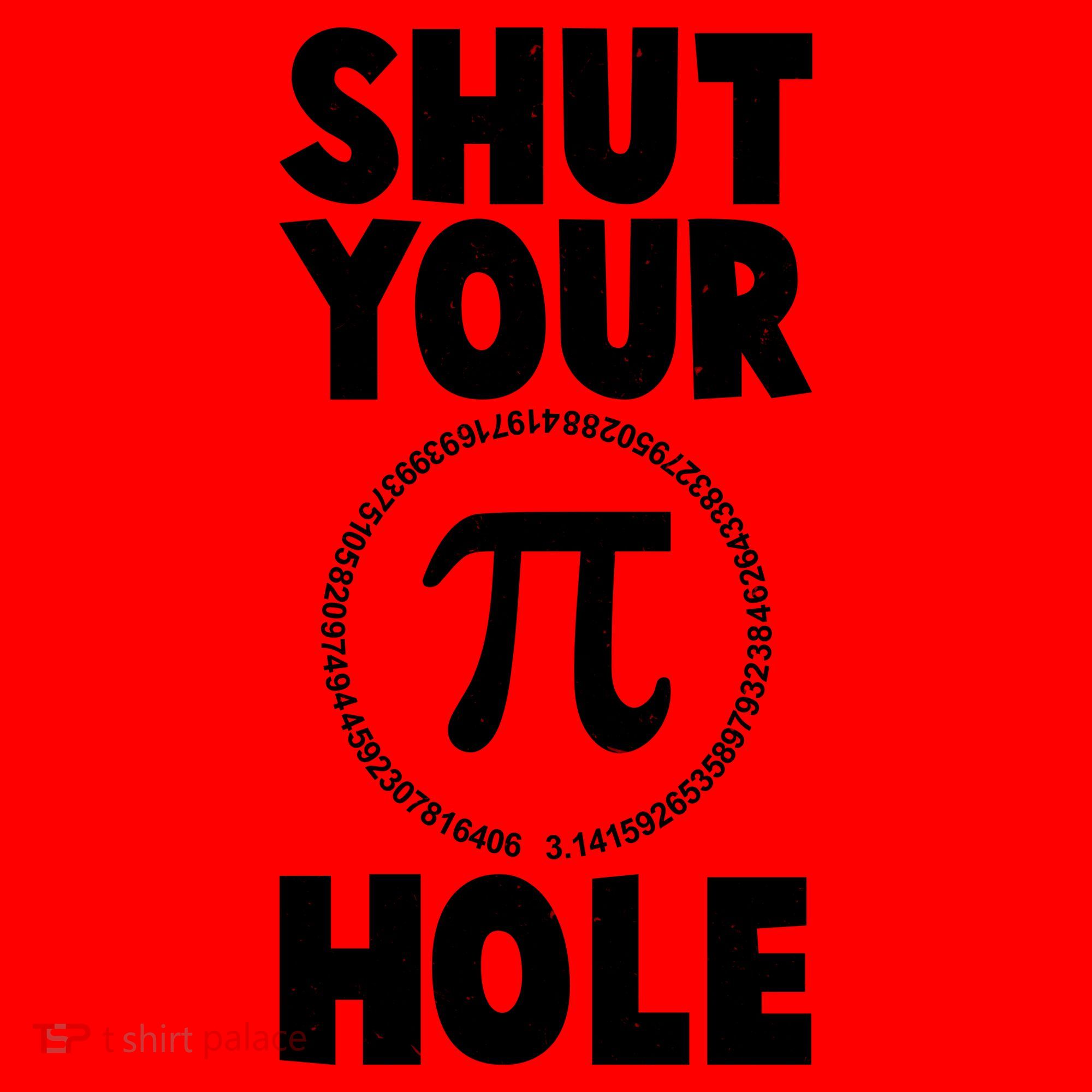 Funny Shut Your Pi Hole 3.14 March 14 Santa Hat